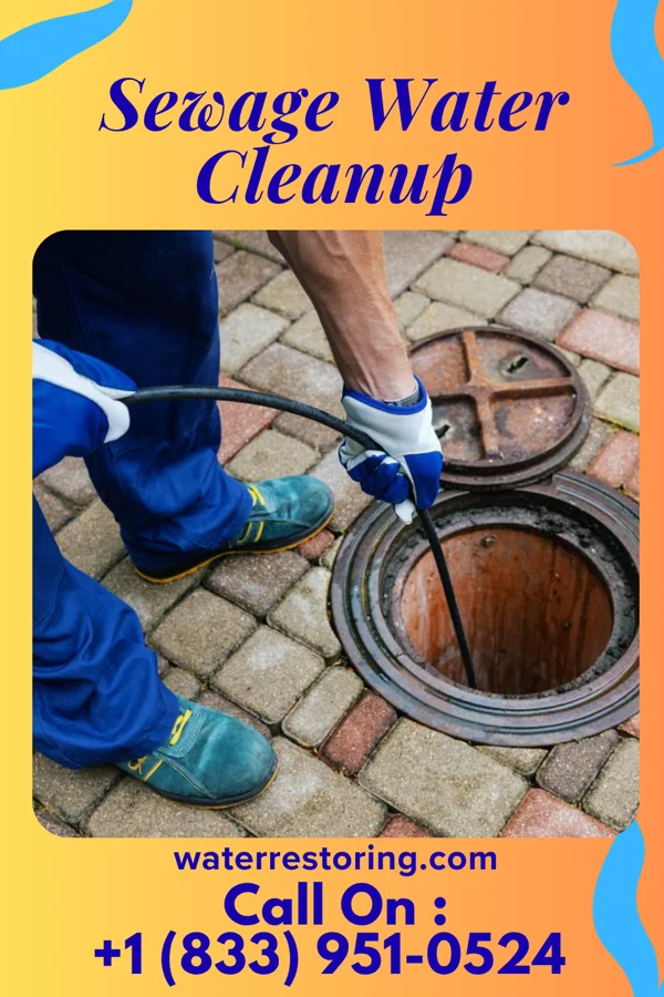 Sewage Water Cleanup in Hebron Estates, KY